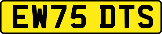 EW75DTS