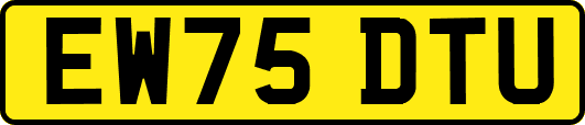 EW75DTU