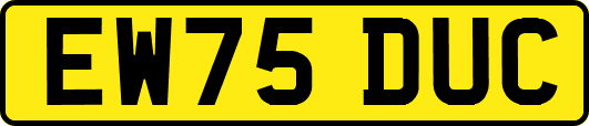 EW75DUC