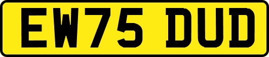 EW75DUD