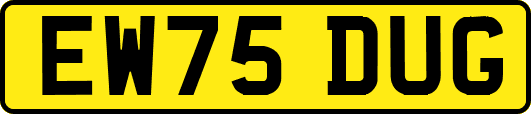 EW75DUG