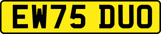 EW75DUO