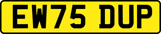 EW75DUP