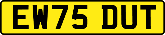 EW75DUT
