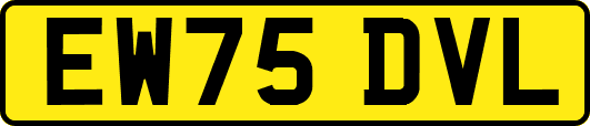 EW75DVL