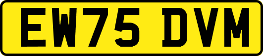 EW75DVM