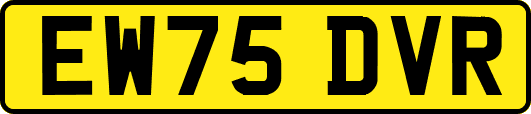 EW75DVR
