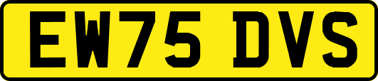 EW75DVS