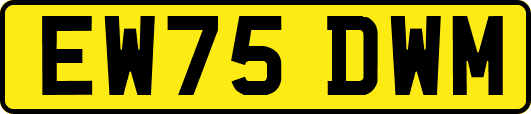 EW75DWM
