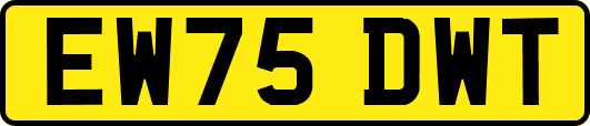 EW75DWT