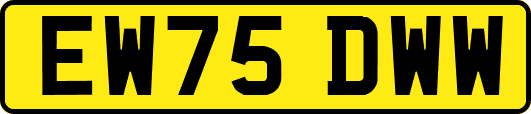 EW75DWW
