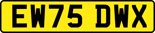 EW75DWX