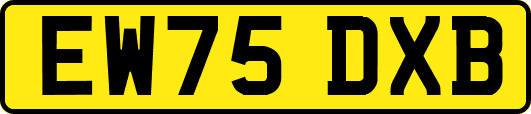 EW75DXB