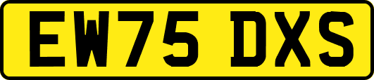 EW75DXS