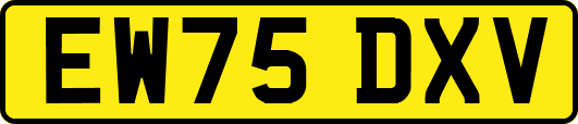 EW75DXV