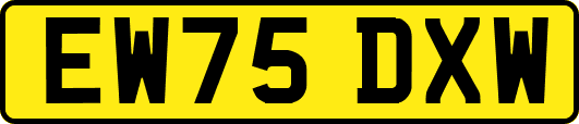 EW75DXW