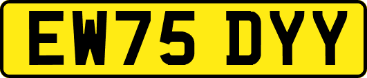 EW75DYY