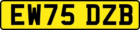 EW75DZB
