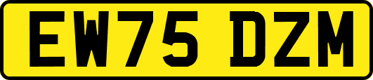 EW75DZM