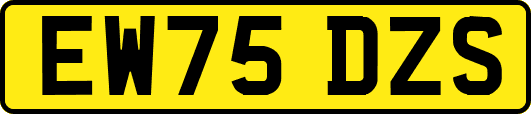 EW75DZS