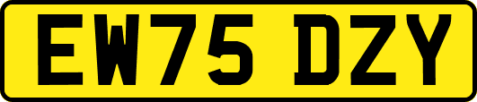 EW75DZY