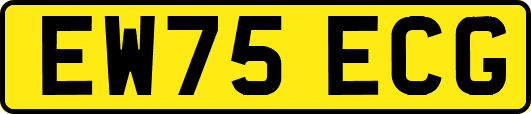 EW75ECG