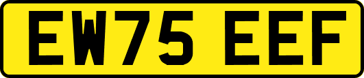 EW75EEF