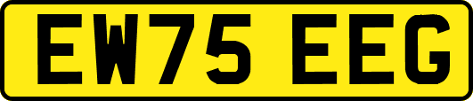 EW75EEG