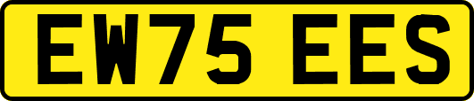EW75EES