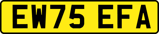 EW75EFA