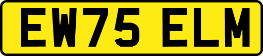 EW75ELM