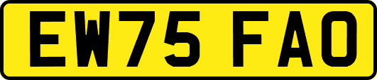 EW75FAO