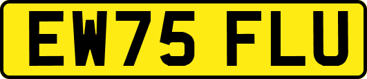 EW75FLU