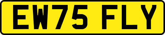 EW75FLY