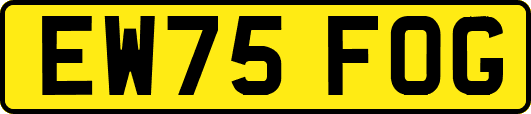 EW75FOG