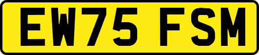 EW75FSM