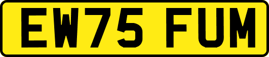 EW75FUM