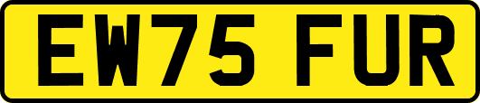 EW75FUR