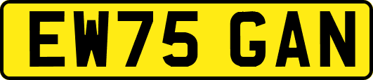 EW75GAN