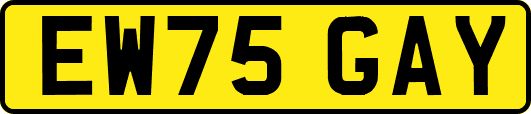 EW75GAY