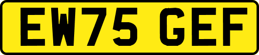 EW75GEF