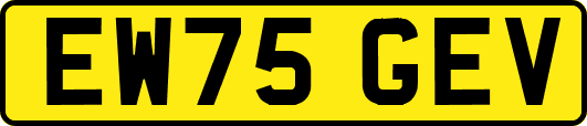 EW75GEV