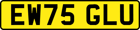EW75GLU