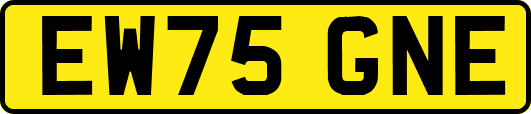 EW75GNE
