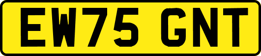 EW75GNT