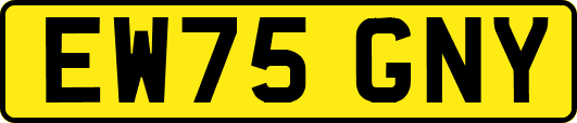 EW75GNY