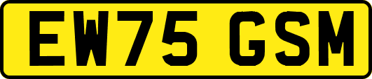 EW75GSM