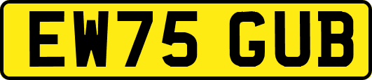 EW75GUB