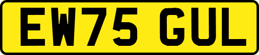 EW75GUL