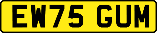 EW75GUM